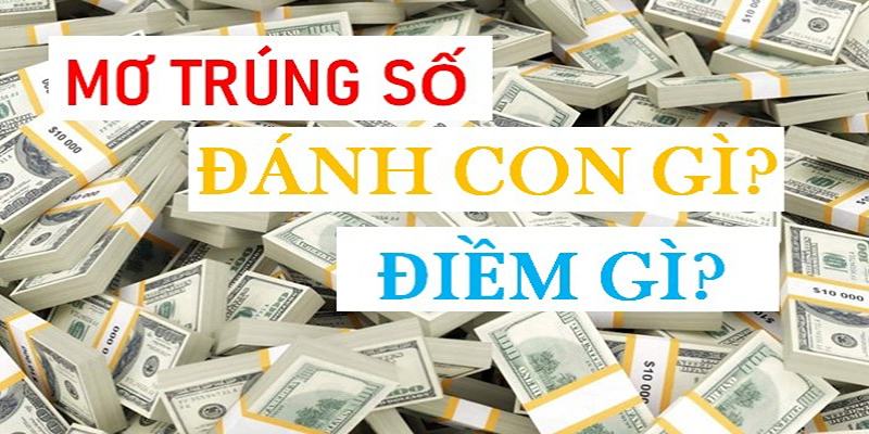 Gợi ý con số may mắn khi nằm mơ thấy trúng số